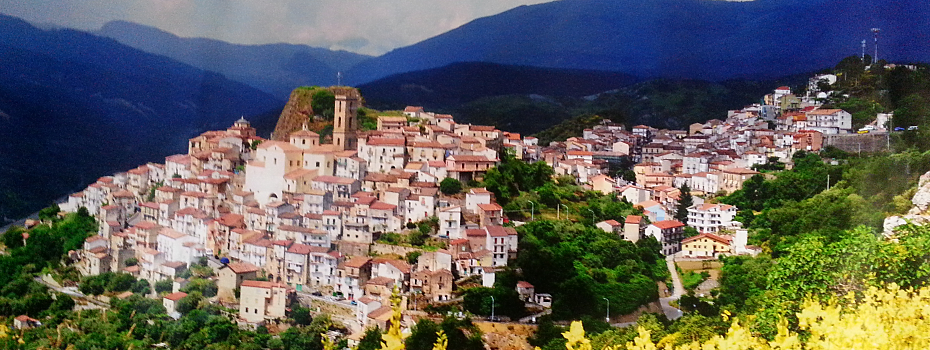 Simplicity Theme by D5 Creation